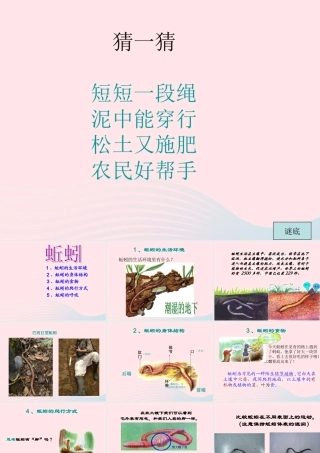 三年级科学上册 第4课《蚯蚓》课件（2） 冀教版-冀教版小学三年级上册自然科学课件