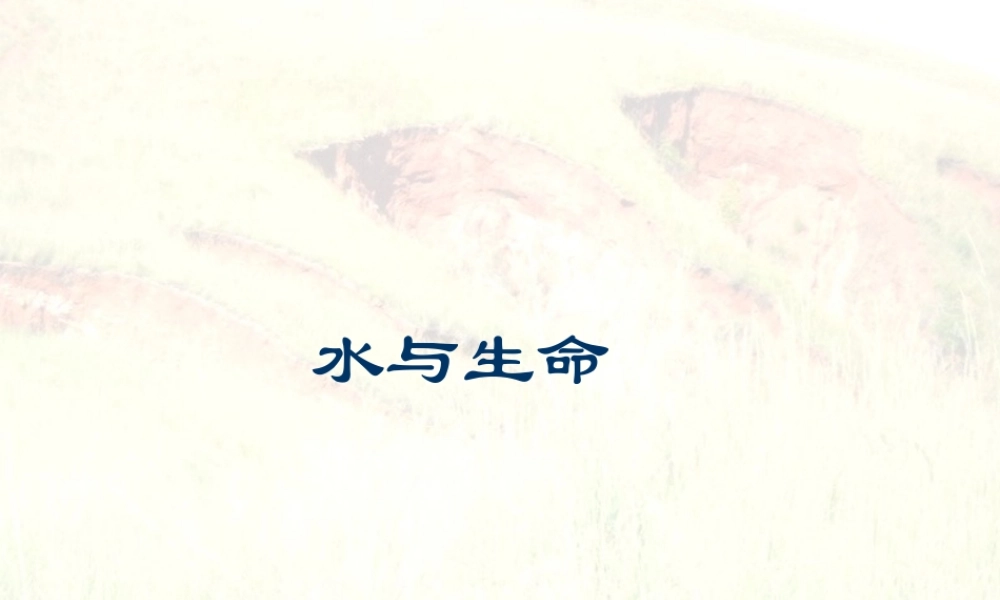 三年级科学上册 第二单元 饮用水 第14课《水与生命》课件（1） 鄂教版-鄂教版小学三年级上册自然科学课件
