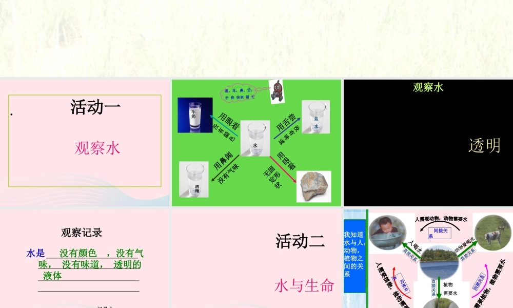 三年级科学上册 第二单元 饮用水 第14课《水与生命》课件（1） 鄂教版-鄂教版小学三年级上册自然科学课件