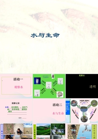 三年级科学上册 第二单元 饮用水 第14课《水与生命》课件（1） 鄂教版-鄂教版小学三年级上册自然科学课件