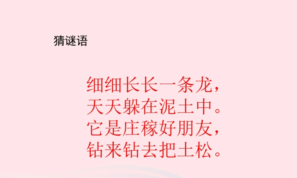 三年级科学上册 第4课《蚯蚓》课件（3） 冀教版-冀教版小学三年级上册自然科学课件