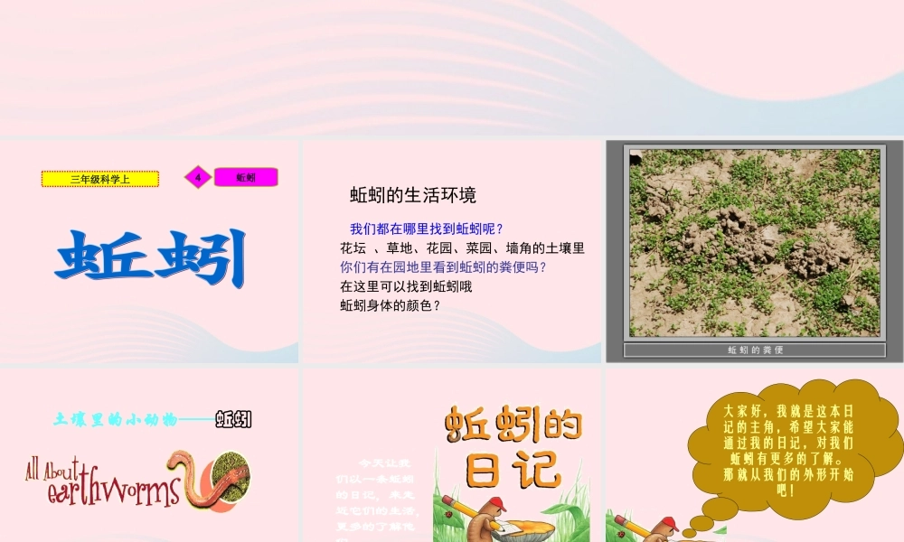三年级科学上册 第4课《蚯蚓》课件（3） 冀教版-冀教版小学三年级上册自然科学课件