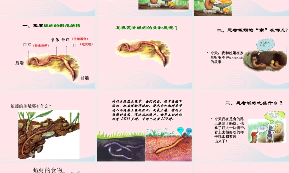 三年级科学上册 第4课《蚯蚓》课件（3） 冀教版-冀教版小学三年级上册自然科学课件