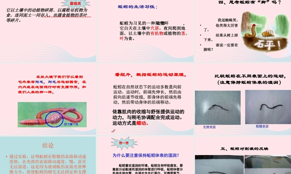 三年级科学上册 第4课《蚯蚓》课件（3） 冀教版-冀教版小学三年级上册自然科学课件