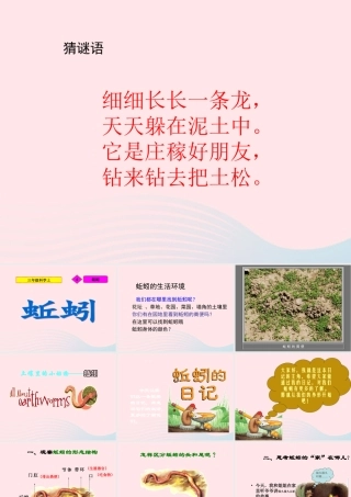 三年级科学上册 第4课《蚯蚓》课件（3） 冀教版-冀教版小学三年级上册自然科学课件