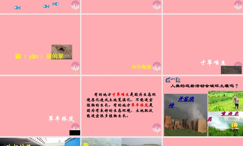 三年级科学上册 3.3 土壤的保护课件2 湘教版-湘教版小学三年级上册自然科学课件