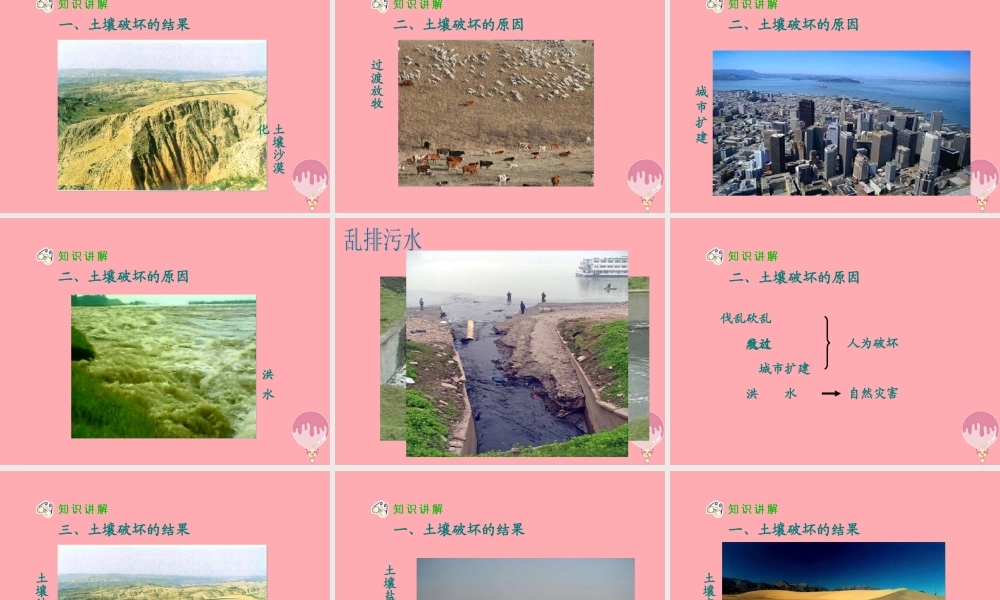 三年级科学上册 3.3 土壤的保护课件3 湘教版-湘教版小学三年级上册自然科学课件