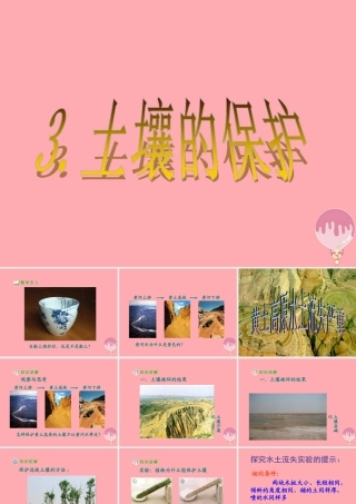 三年级科学上册 3.3 土壤的保护课件3 湘教版-湘教版小学三年级上册自然科学课件