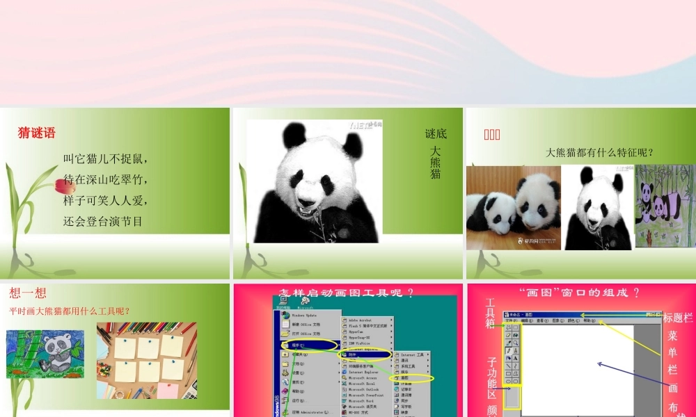 三年级信息技术上册 第2课《画大熊猫》课件 冀教版-冀教版小学三年级上册信息技术课件