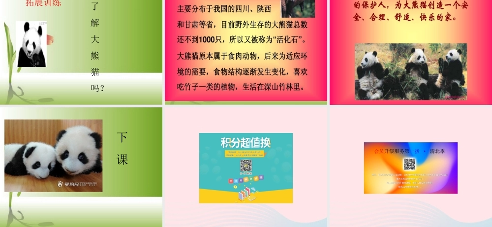 三年级信息技术上册 第2课《画大熊猫》课件 冀教版-冀教版小学三年级上册信息技术课件