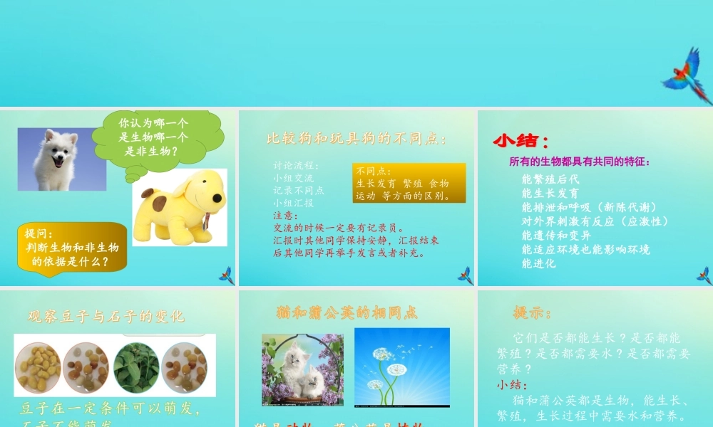 三年级科学下册 第1单元 生物资源 1 生物与非生物课件 冀人版-人教版小学三年级下册自然科学课件