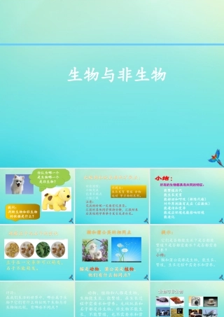 三年级科学下册 第1单元 生物资源 1 生物与非生物课件 冀人版-人教版小学三年级下册自然科学课件
