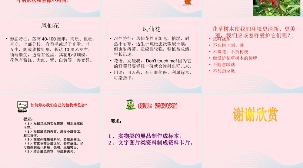 三年级科学上册 第5课《凤仙花》课件（3） 冀教版-冀教版小学三年级上册自然科学课件