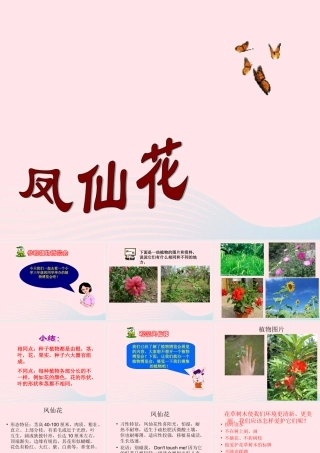 三年级科学上册 第5课《凤仙花》课件（3） 冀教版-冀教版小学三年级上册自然科学课件