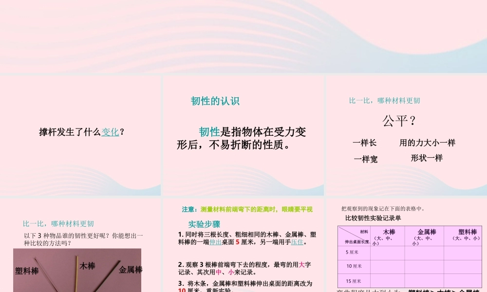 三年级科学上册 3.3《比较柔韧性》课件（2） 教科版-教科版小学三年级上册自然科学课件