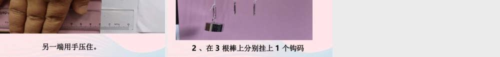 三年级科学上册 3.3《比较柔韧性》课件（2） 教科版-教科版小学三年级上册自然科学课件