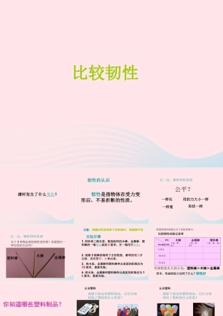 三年级科学上册 3.3《比较柔韧性》课件（2） 教科版-教科版小学三年级上册自然科学课件