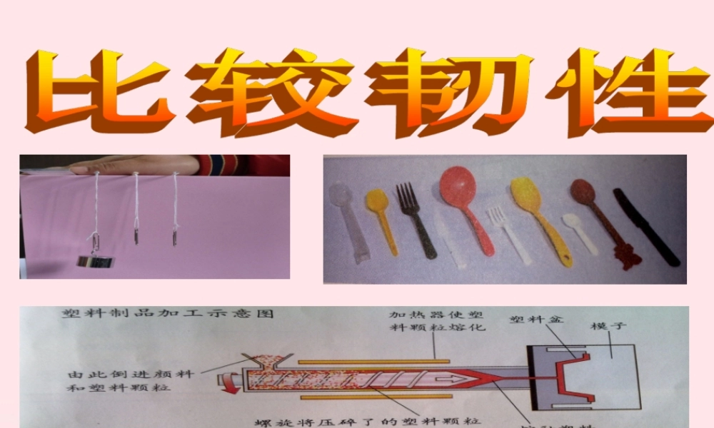 三年级科学上册 3.3《比较柔韧性》课件（3） 教科版-教科版小学三年级上册自然科学课件