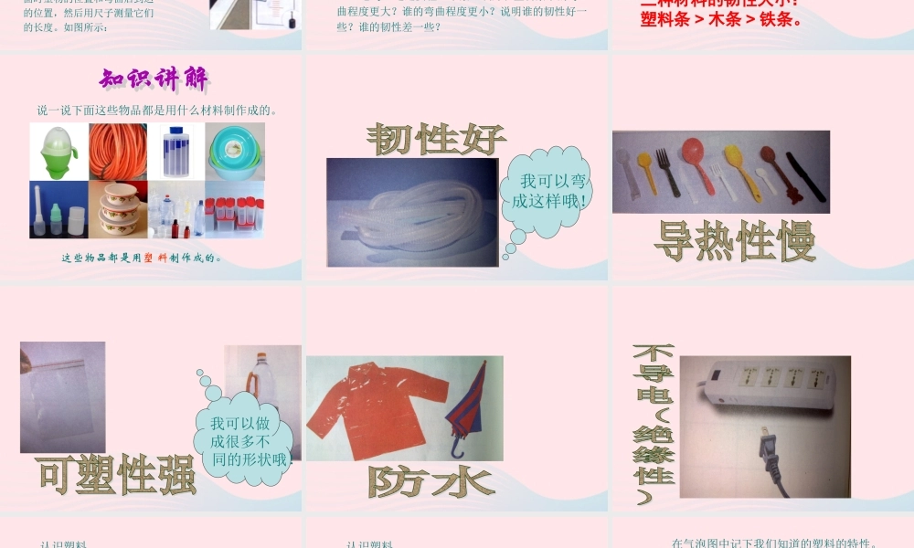 三年级科学上册 3.3《比较柔韧性》课件（3） 教科版-教科版小学三年级上册自然科学课件