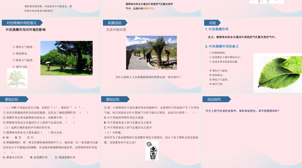 三年级科学上册 第二单元 植物的生活 第8课叶的蒸腾作用课件 青岛版六三制-青岛版小学三年级上册自然科学课件