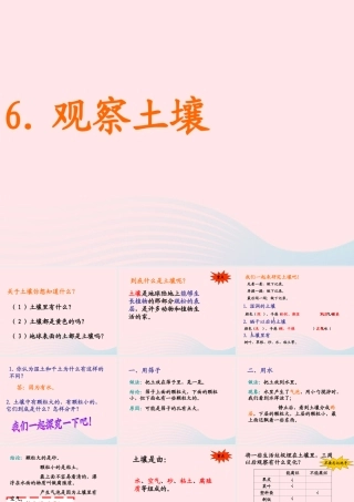 三年级科学上册 第6课《观察土壤》课件（1） 冀教版-冀教版小学三年级上册自然科学课件