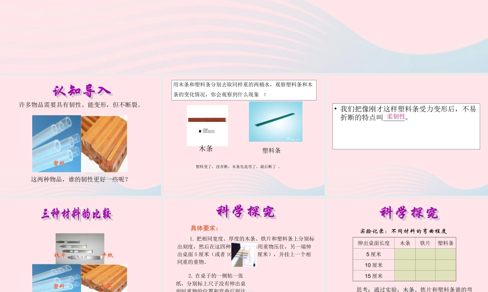 三年级科学上册 3.3《比较柔韧性》课件（4） 教科版-教科版小学三年级上册自然科学课件