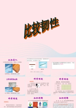 三年级科学上册 3.3《比较柔韧性》课件（4） 教科版-教科版小学三年级上册自然科学课件