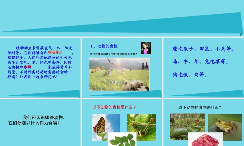 三年级科学上册 第二章 第1课 动物的食物课件1 新人教版-新人教版小学三年级上册自然科学课件