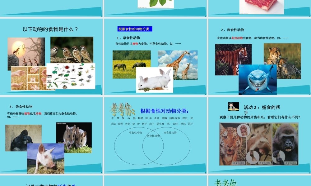 三年级科学上册 第二章 第1课 动物的食物课件1 新人教版-新人教版小学三年级上册自然科学课件