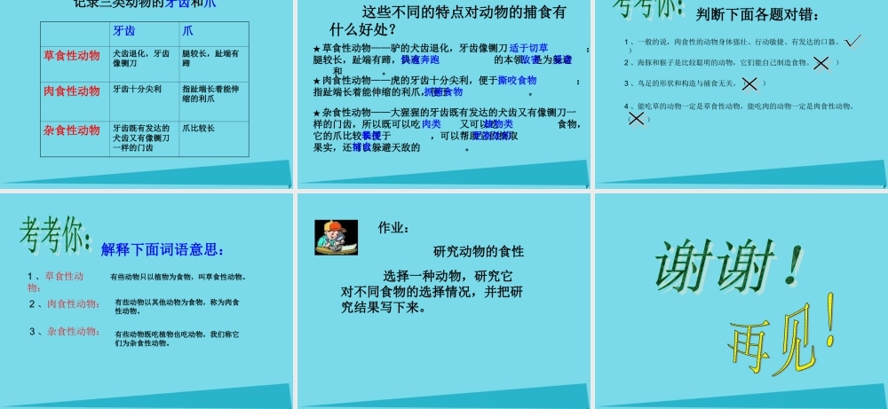 三年级科学上册 第二章 第1课 动物的食物课件1 新人教版-新人教版小学三年级上册自然科学课件