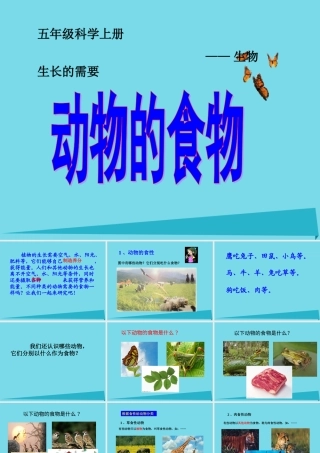 三年级科学上册 第二章 第1课 动物的食物课件1 新人教版-新人教版小学三年级上册自然科学课件