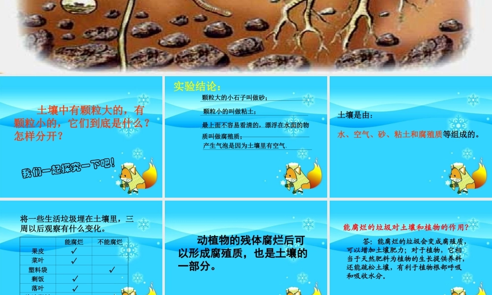 三年级科学上册 第6课《观察土壤》课件（2） 冀教版-冀教版小学三年级上册自然科学课件