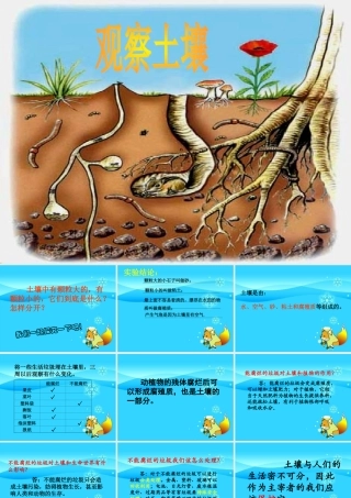 三年级科学上册 第6课《观察土壤》课件（2） 冀教版-冀教版小学三年级上册自然科学课件