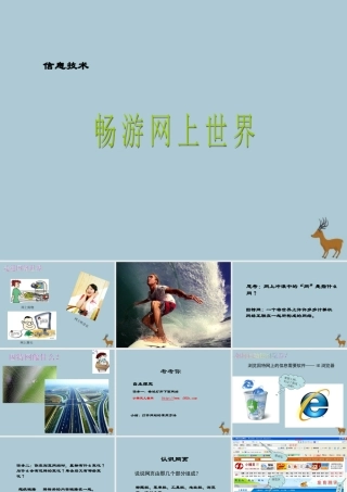 三年级信息技术上册 第3课 打开窗口天地宽 3.4 畅游网上世界课件 粤教版-粤教版小学三年级上册信息技术课件