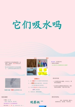 三年级科学上册 3.4《它们吸水吗》课件（1） 教科版-教科版小学三年级上册自然科学课件