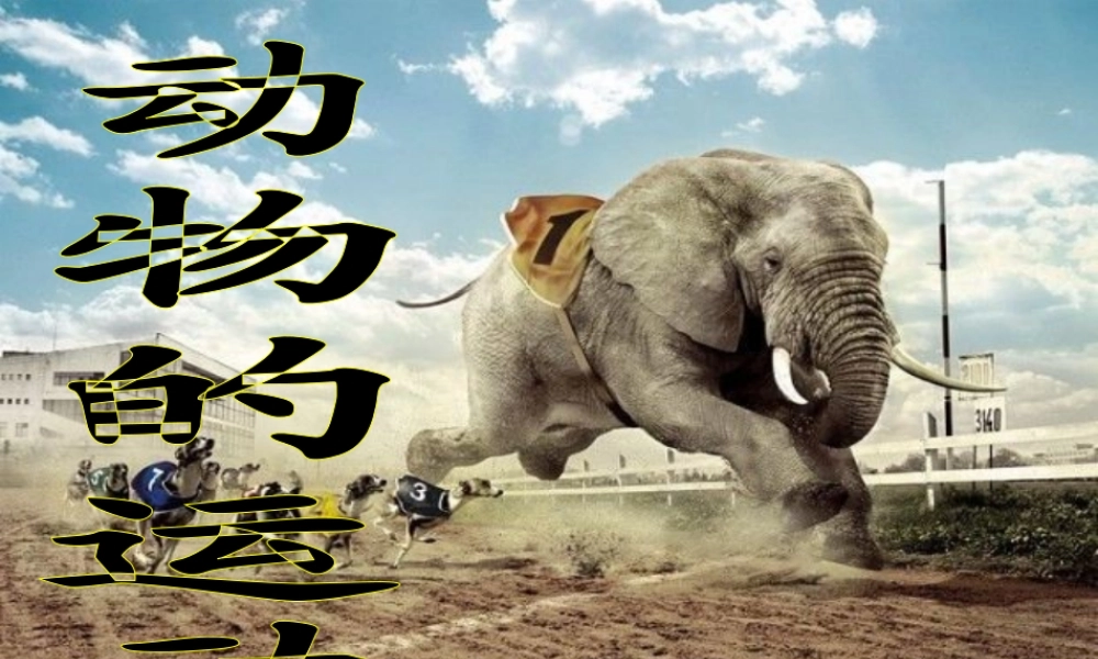 三年级科学上册 第二章 第2课 动物的身体和运动课件1 新人教版-新人教版小学三年级上册自然科学课件
