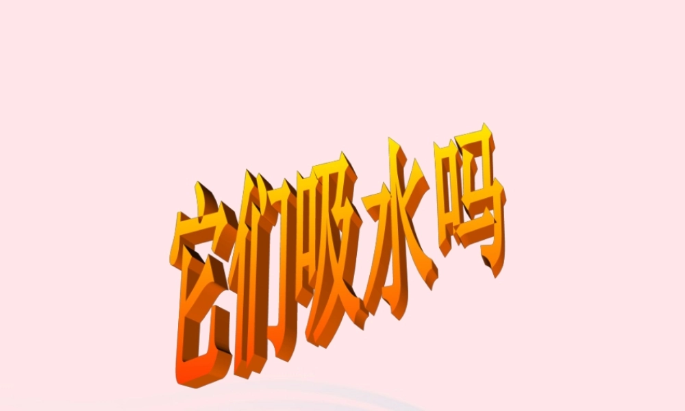 三年级科学上册 3.4《它们吸水吗》课件（2） 教科版-教科版小学三年级上册自然科学课件