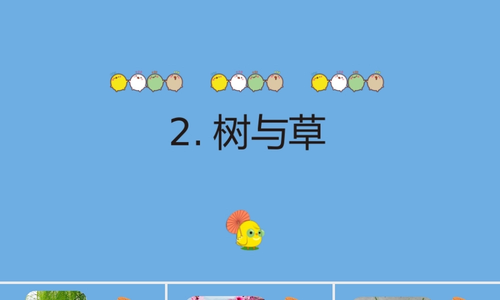 三年级科学下册 第1单元 生物资源 1.2 树与草课件 冀人版-人教版小学三年级下册自然科学课件