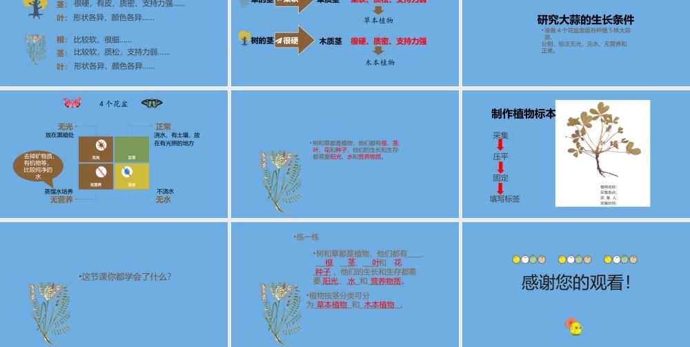 三年级科学下册 第1单元 生物资源 1.2 树与草课件 冀人版-人教版小学三年级下册自然科学课件