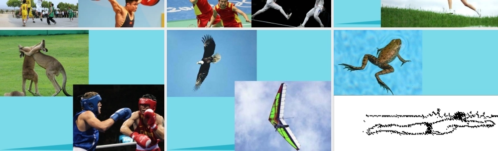 三年级科学上册 第二章 第2课 动物的身体和运动课件2 新人教版-新人教版小学三年级上册自然科学课件