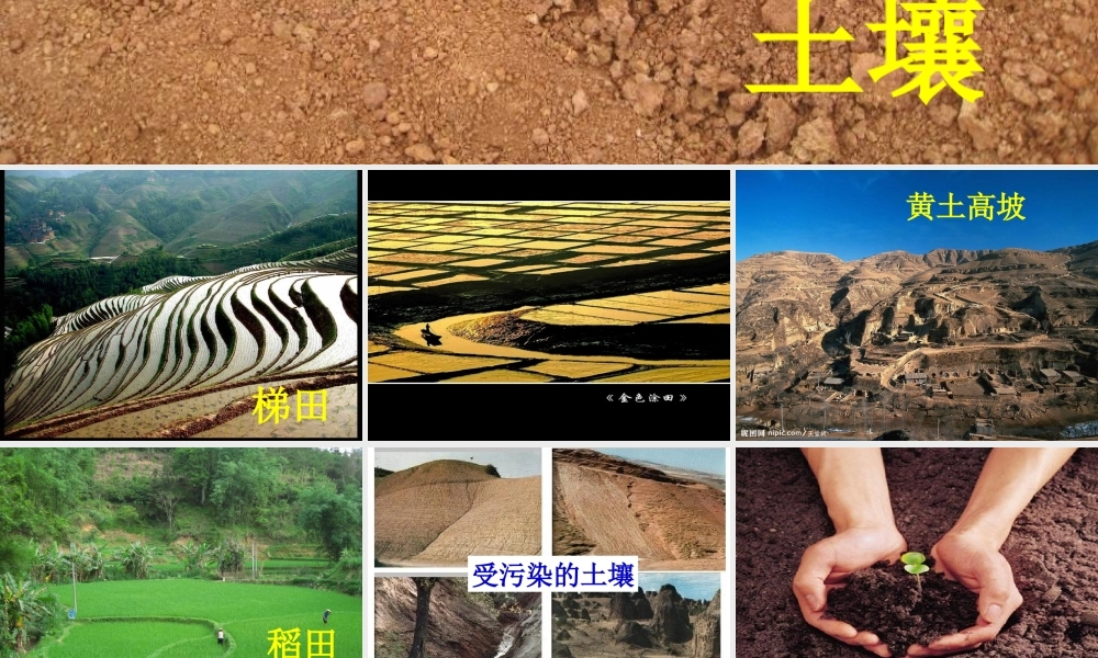 三年级科学上册 第7课《土壤的保护》课件（1） 冀教版-冀教版小学三年级上册自然科学课件