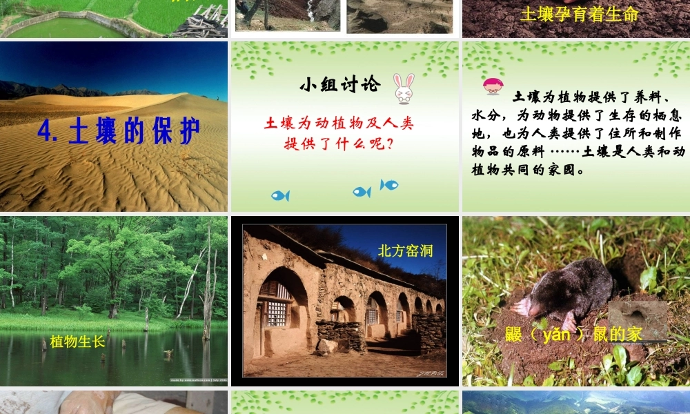 三年级科学上册 第7课《土壤的保护》课件（1） 冀教版-冀教版小学三年级上册自然科学课件