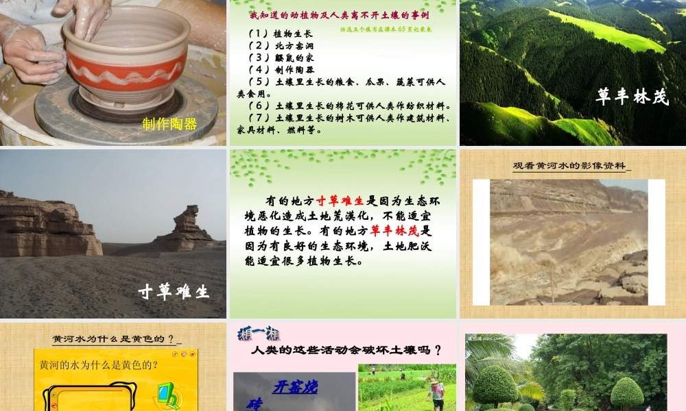 三年级科学上册 第7课《土壤的保护》课件（1） 冀教版-冀教版小学三年级上册自然科学课件
