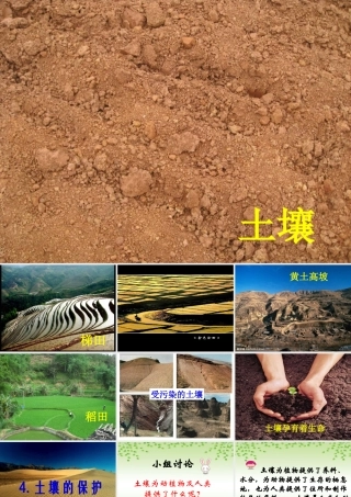 三年级科学上册 第7课《土壤的保护》课件（1） 冀教版-冀教版小学三年级上册自然科学课件