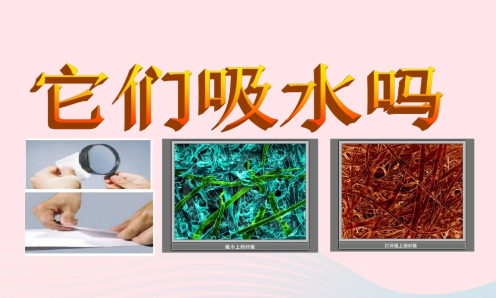三年级科学上册 3.4《它们吸水吗》课件（3） 教科版-教科版小学三年级上册自然科学课件