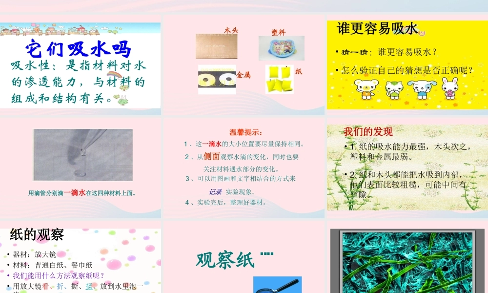 三年级科学上册 3.4《它们吸水吗》课件（3） 教科版-教科版小学三年级上册自然科学课件