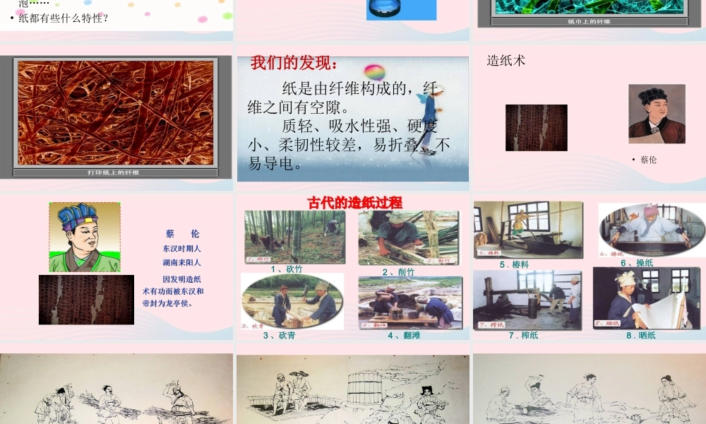 三年级科学上册 3.4《它们吸水吗》课件（3） 教科版-教科版小学三年级上册自然科学课件