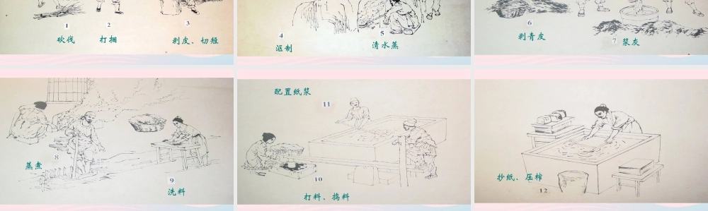 三年级科学上册 3.4《它们吸水吗》课件（3） 教科版-教科版小学三年级上册自然科学课件