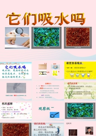 三年级科学上册 3.4《它们吸水吗》课件（3） 教科版-教科版小学三年级上册自然科学课件