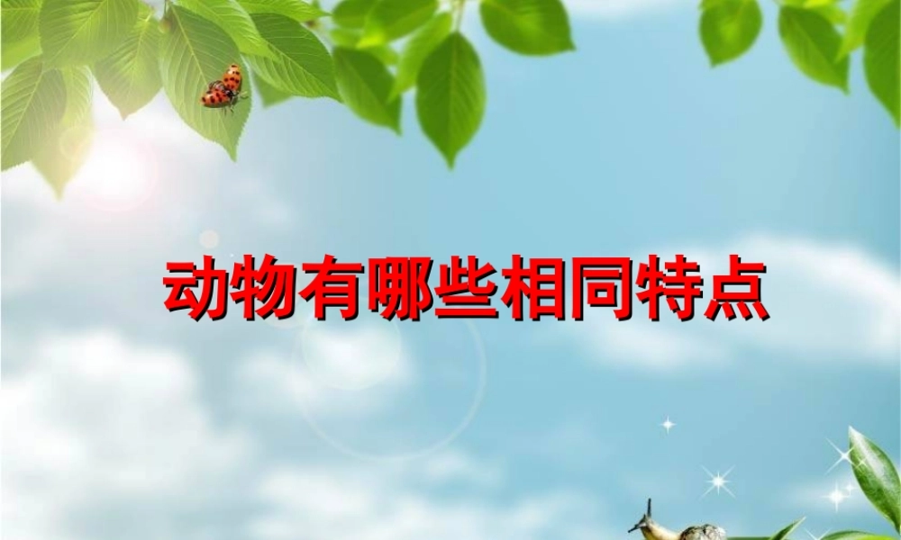 三年级科学上册 第二章 第4课 我们和动物有哪些相同和不同课件1 新人教版-新人教版小学三年级上册自然科学课件
